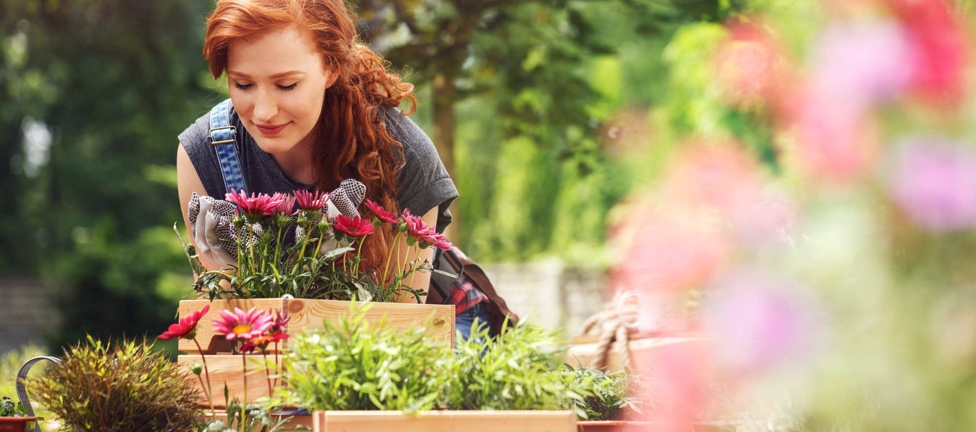 diska-Ratgeber-Headerbild-Frühling