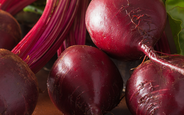 diska Rote Bete Header diska Rote Bete Header