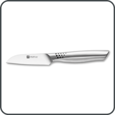 zwilling-icon-4_300x300px