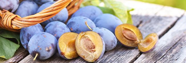 Zwetschgen-und-Pflaumen-Vitamine-Start-quer (1)