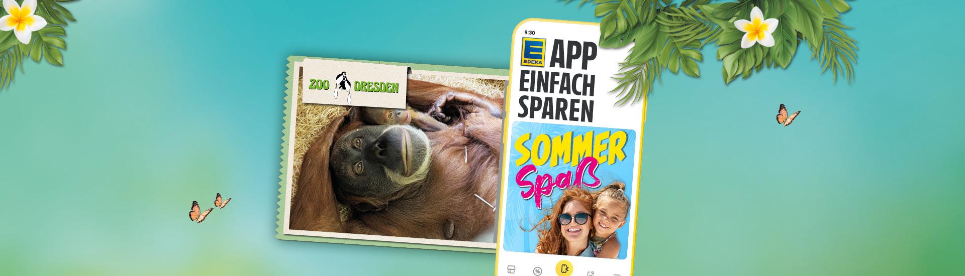 diska_Sommerspass-Zoo_Dresden_1920x550.