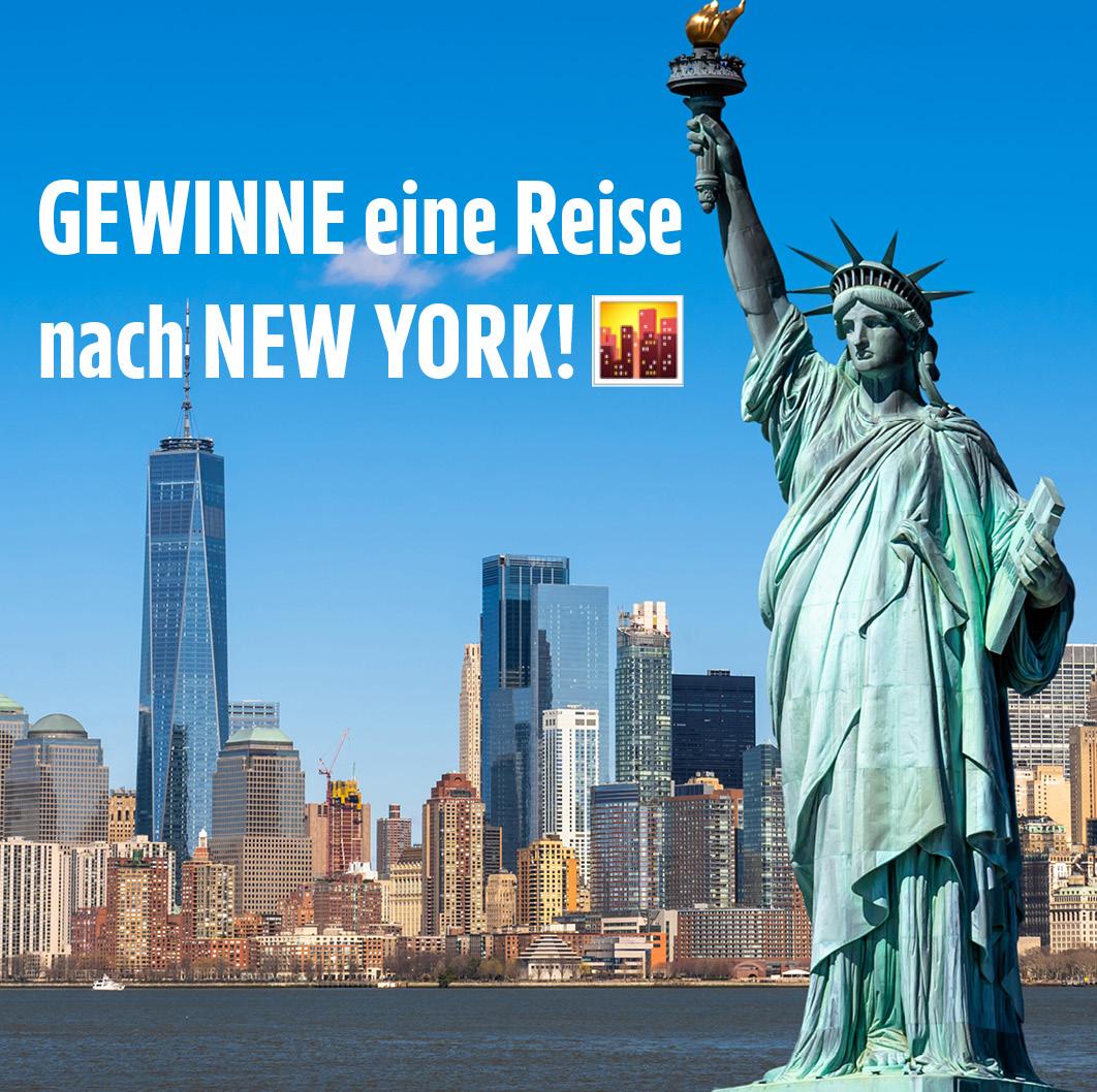 GWS New York_diska_Startseite GWS New York_diska_Startseite