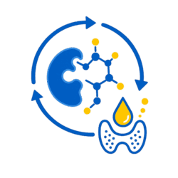 Stoffwechsel-und-Hormone