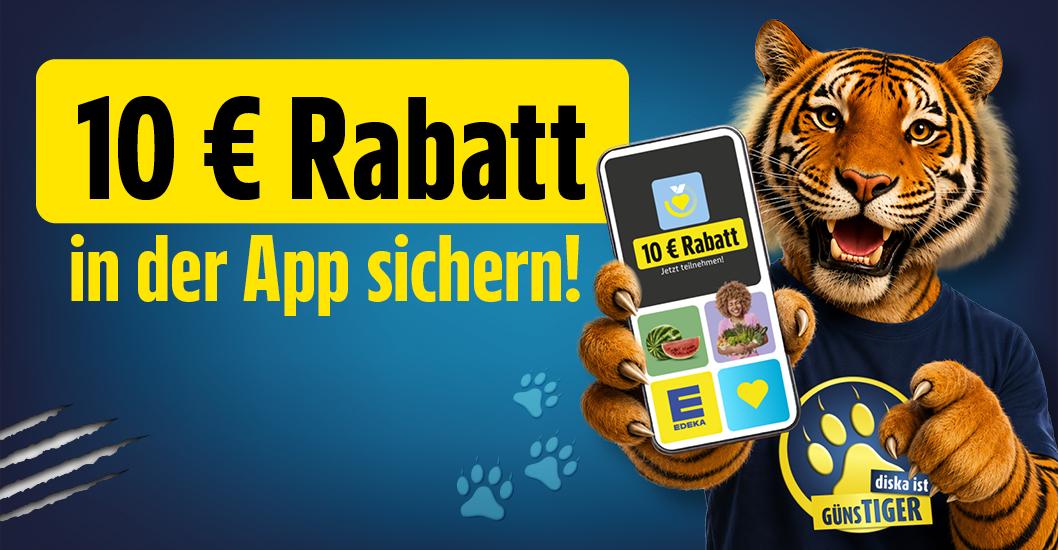 Diska-App-Challenge-Website-1058x550-RZ