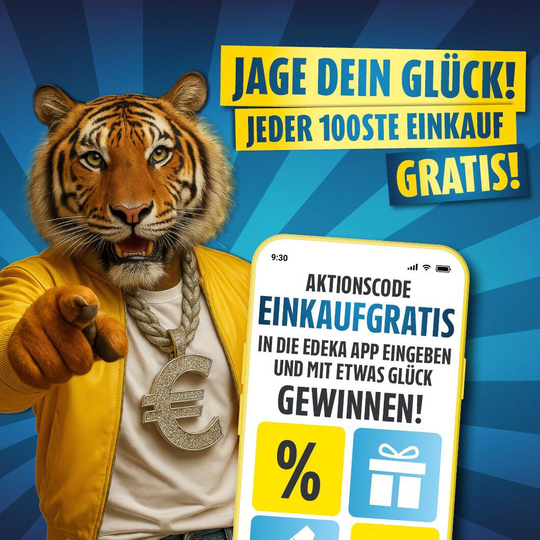 diska-100-Einkauf-gratis-Website