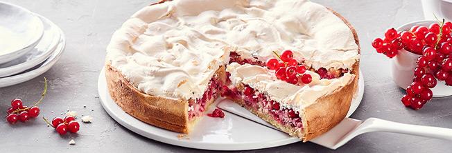 diska-Johannisbeerkuchen-Rezept diska-Johannisbeerkuchen-Rezept